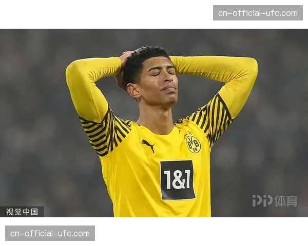 德国足协公布执法国家德比的主裁判人选 德国足协公布执法国家德比的主裁判人选